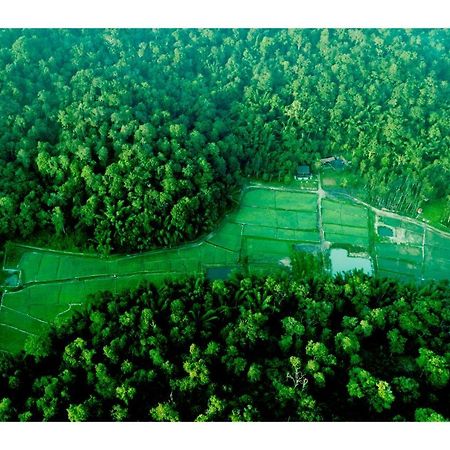Vayal Veedu - Luxury Farm Villas By The Woods Muthanga المظهر الخارجي الصورة