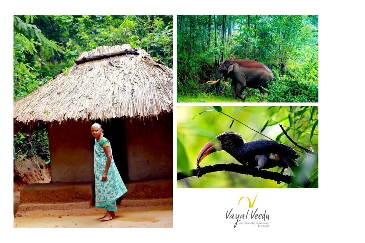 Vayal Veedu - Luxury Farm Villas By The Woods Muthanga المظهر الخارجي الصورة