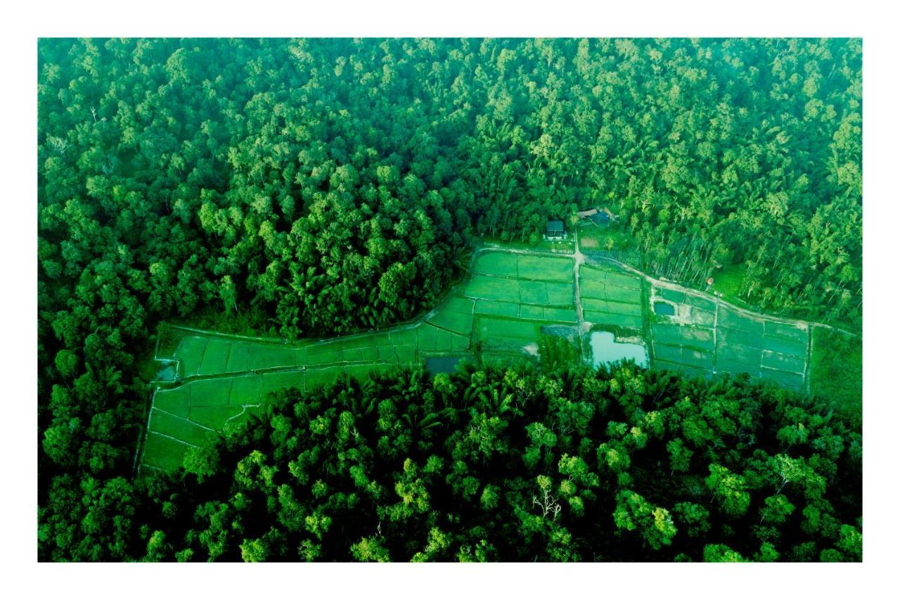 Vayal Veedu - Luxury Farm Villas By The Woods Muthanga المظهر الخارجي الصورة