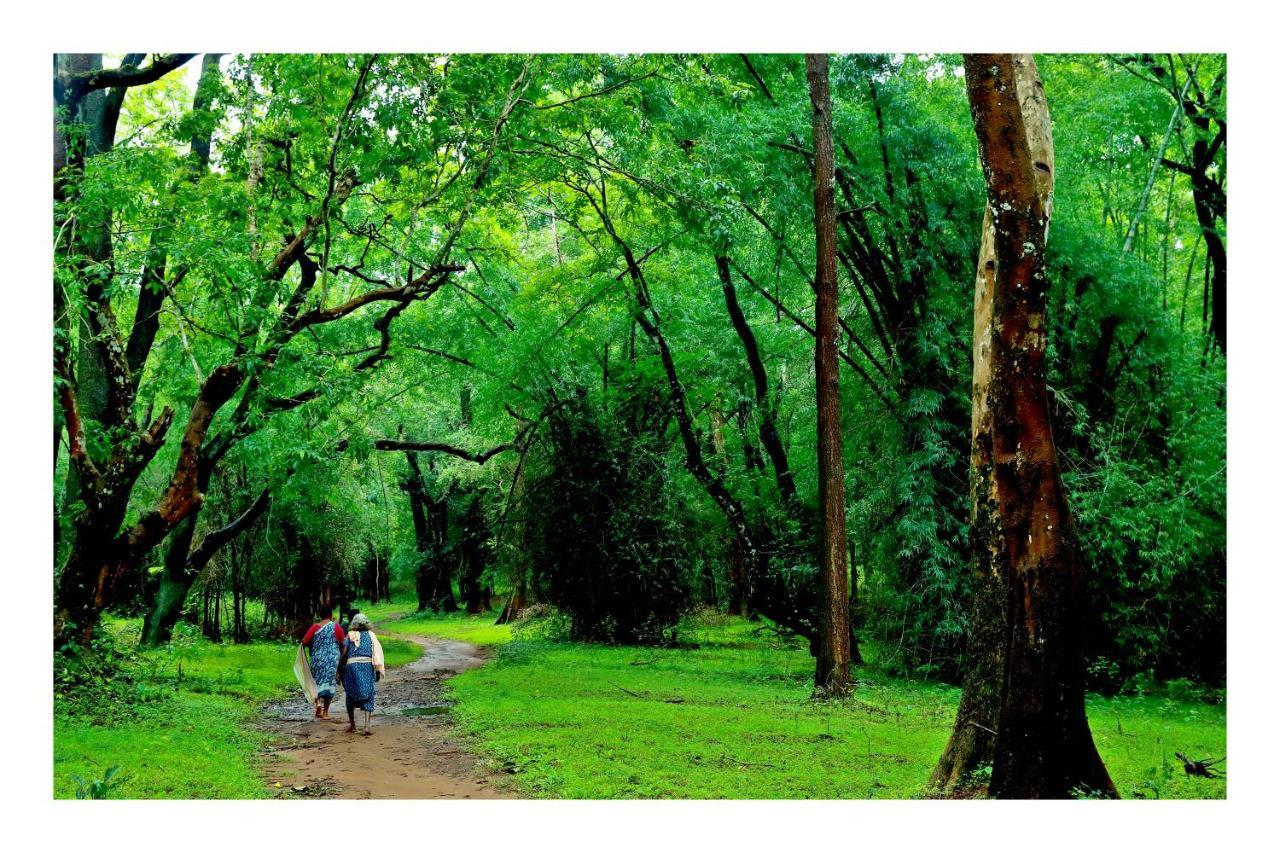 Vayal Veedu - Luxury Farm Villas By The Woods Muthanga المظهر الخارجي الصورة